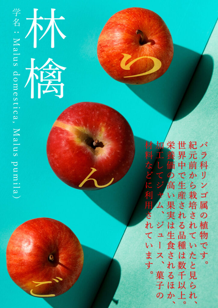 林檎ポスター Www Pavican Com Br